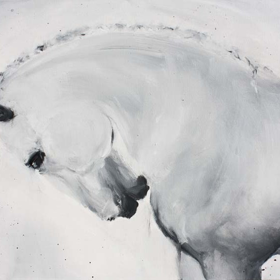 Art horses : Painting on canvas of a camarguais horse at dressage