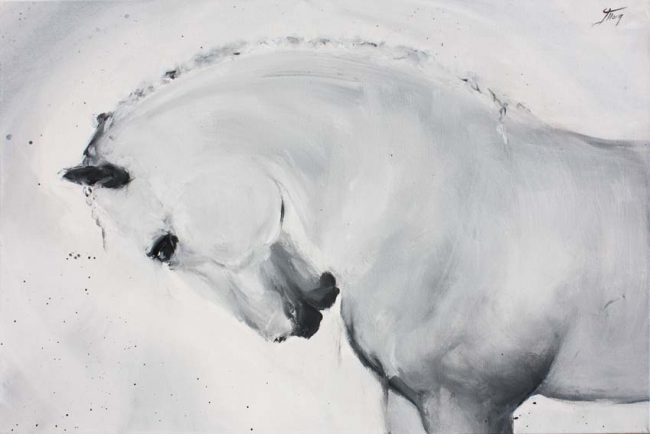 Art chevaux : Peinture sur toile d' un magnifique cheval camarguais au dressage