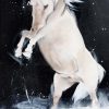 Art horses : horse riding painting