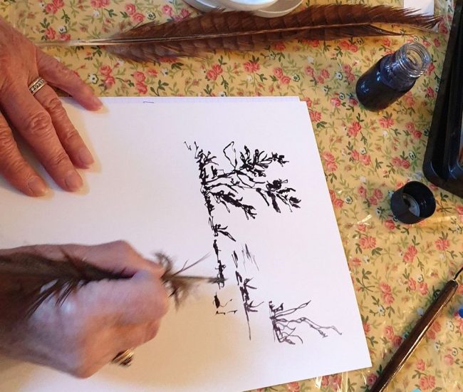 Stage de peinture encre aquarelle par Lucie LLONG, artiste peintre -Puy-de-Dôme