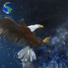 peinture pop art animalier : Eagle on the moon (l'aigle sur la Lune)-l'histoire de la conquête spatiale à l'occasion du 50ème anniversaire du premier homme sur la Lune