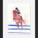 Equitation : peinture à l’aquarelle d'un concours de CSO 
