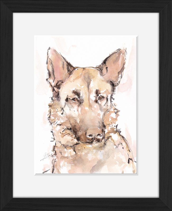 ART animaux chien berger allemand : peinture à l'aquarelle animalière