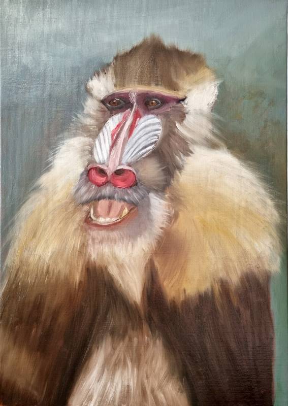 stage-peinture-animaliere-savane-afrique-auvergne-rhone-alpes-39