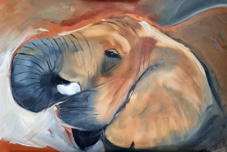 stage-peinture-animaliere-savane-afrique-auvergne-rhone-alpes-41
