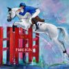 Horse riding painting | sports art | jumping show at the Olympic Games Paris 2024 in the gardens of the Château de Versailles | A white horse and its rider painted by Lucie LLONG, sports artist